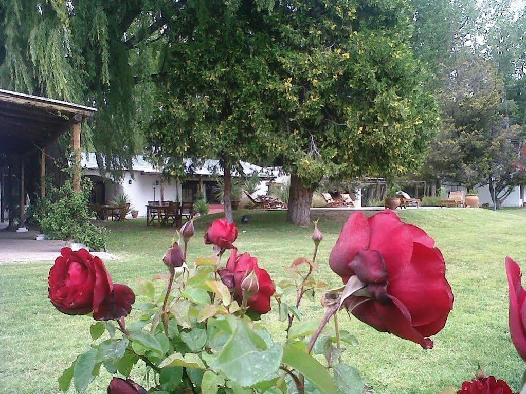 Postales Hotel Boutique Valle De Uco Colonia Las Rosas Exterior photo